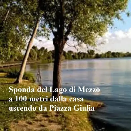 Trilo Fronte Parco Con Parking E Uso Bici Gratis Check Out H18 * マントヴァ